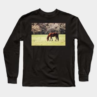 New Forest Pony Long Sleeve T-Shirt